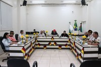 Os vereadores realizaram a 11ª Sessão Ordinária do Primeiro Período Legislativo de 2025