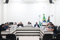 Vereadores realizam 12ª Sessão Extraordinária