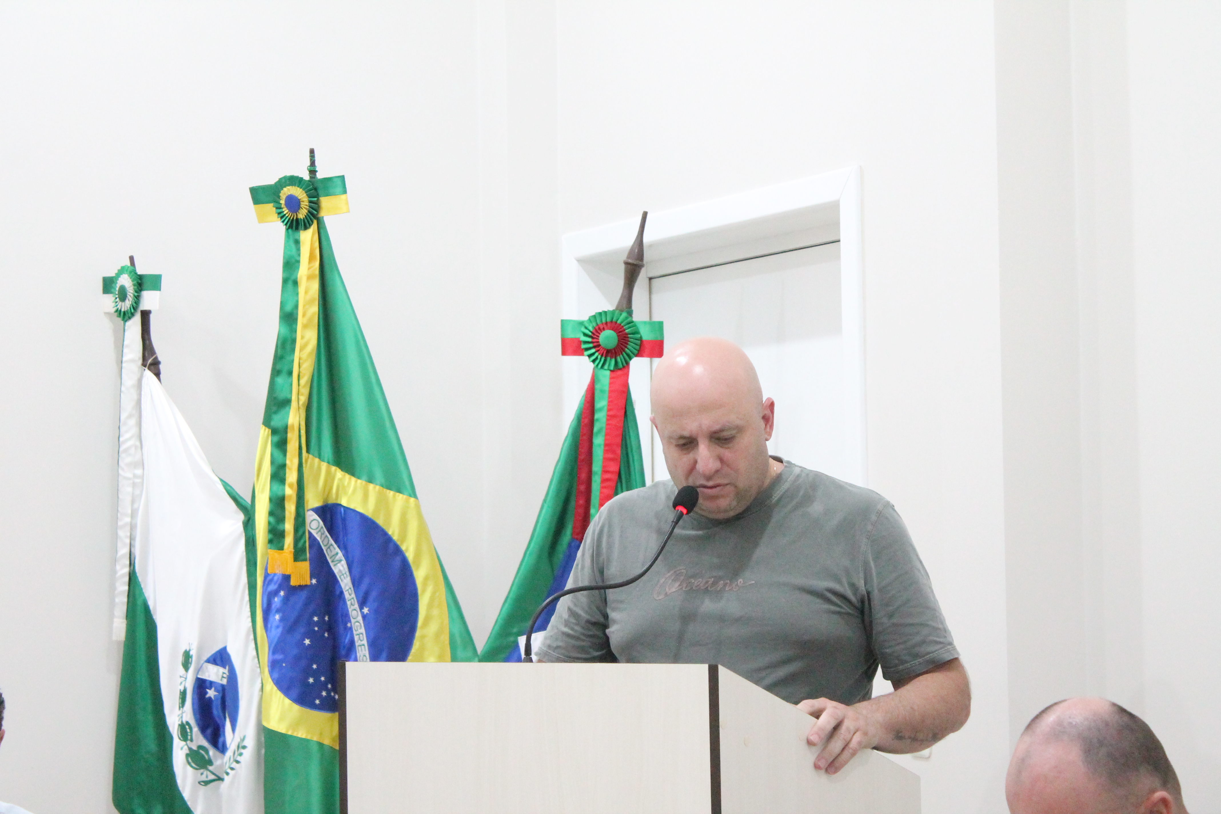 Vereadores realizam 15ª Sessão Extraordinária