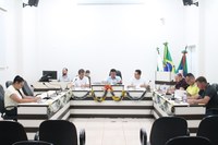Vereadores realizam 17ª Sessão Extraordinária
