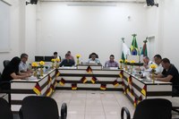 Vereadores realizam 5ª Sessão Extraordinária