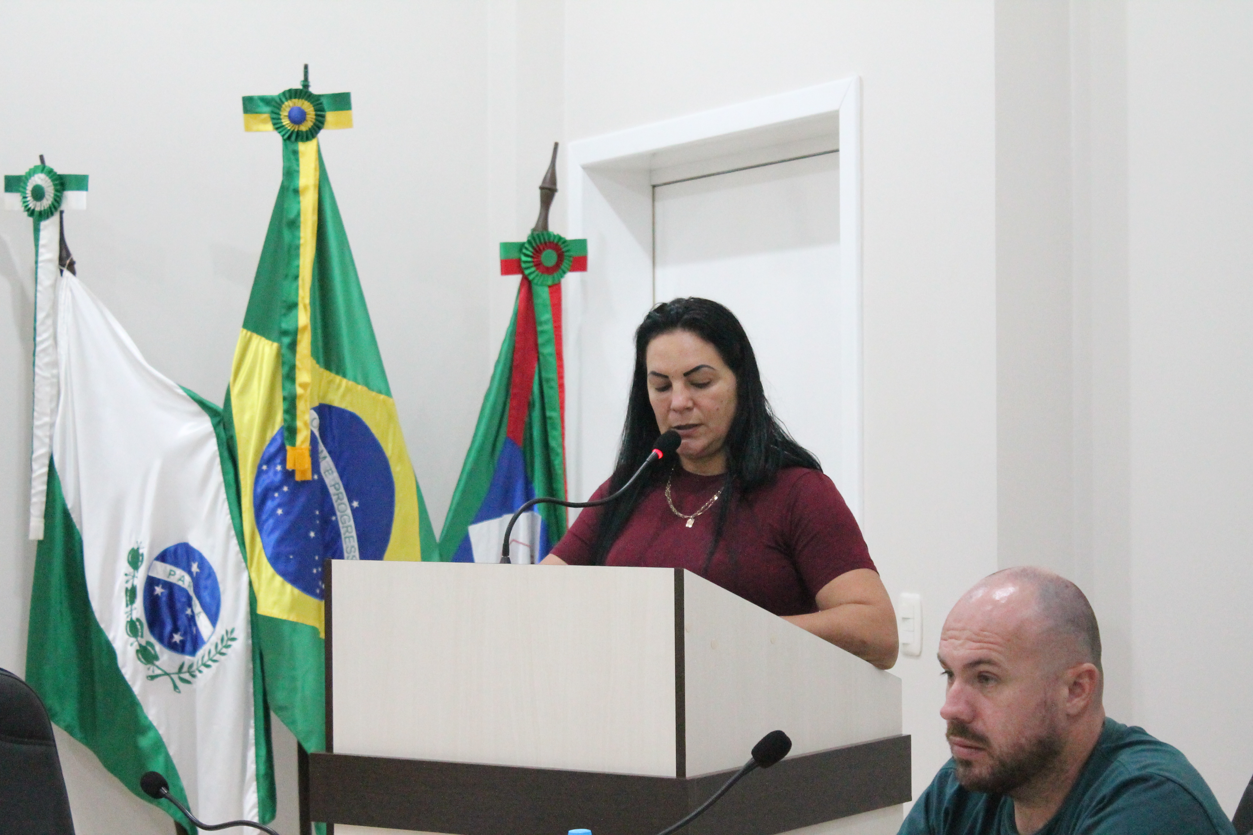 Vereadores realizam a 02ª Sessão Ordinária do Primeiro Período Legislativo de 2026